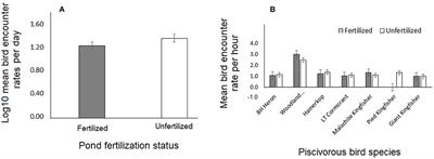 Effectiveness of physical barriers and enhanced fertilization in controlling predation on tilapia and catfish aquaculture systems by four piscivorous water bird families